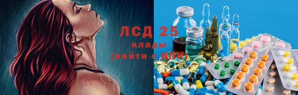 сатива Осташков