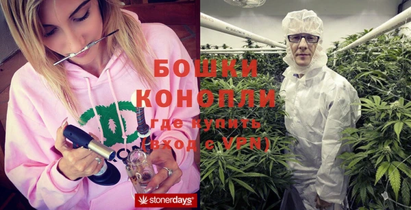 ПСИЛОЦИБИНОВЫЕ ГРИБЫ Абинск
