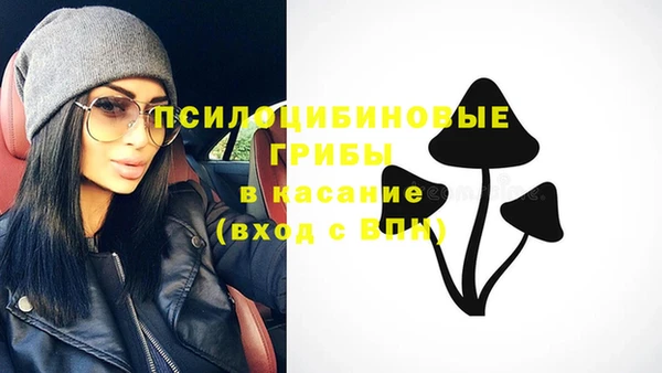 бошки Абдулино