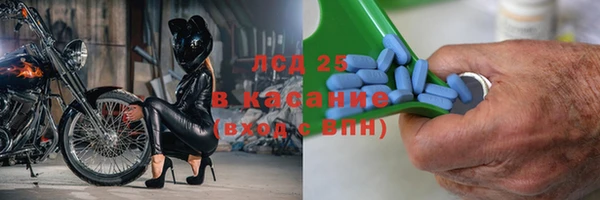 сатива Осташков
