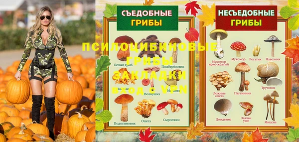 бошки Абдулино