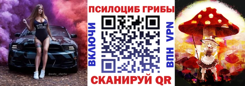 купить  сайты  Миллерово  Галлюциногенные грибы Cubensis 