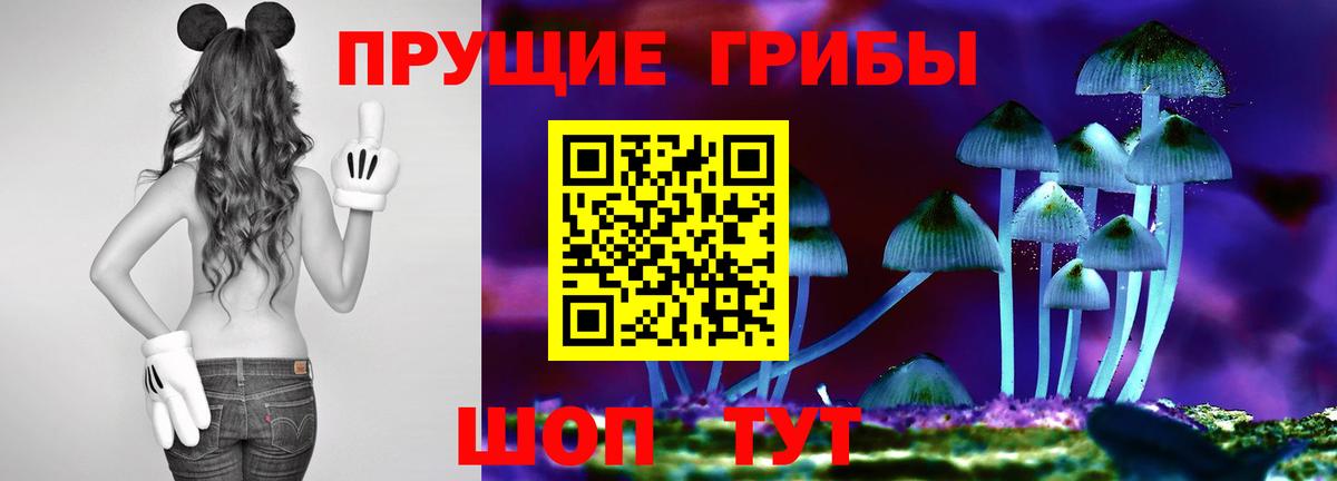 Псилоцибиновые грибы Psilocybe Миллерово