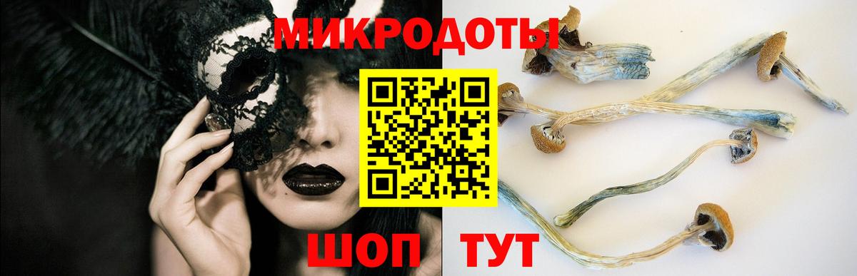 Псилоцибиновые грибы Psilocybine cubensis  Вход с VPN  Миллерово 